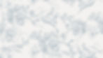 colonial toile blue design for wedding in mount pleasant south carolina