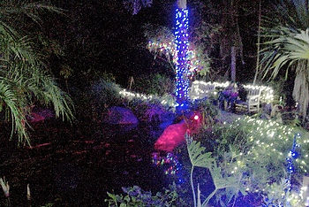 SD Botanical Garden of Lights