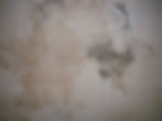 Rustic Plaster