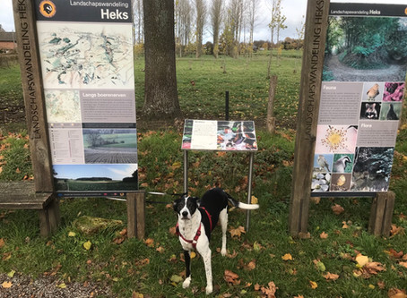 Heks wandelingen in Haspengouw