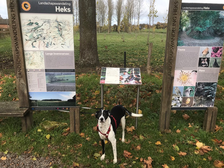 Heks wandelingen in Haspengouw