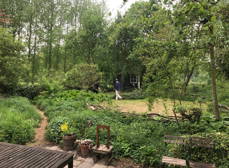 EEN WANDELING IN DE WILDE TUIN VAN DE HENEHOEVE