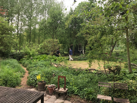 EEN WANDELING IN DE WILDE TUIN VAN DE HENEHOEVE