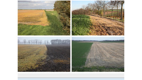 My series on Glyfosate published in De Standaard