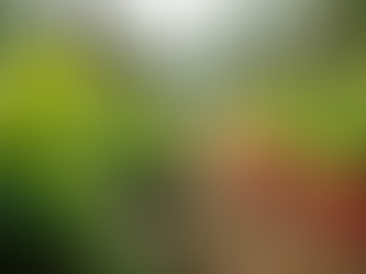 Transform Your Body: Weight Loss Success Stories