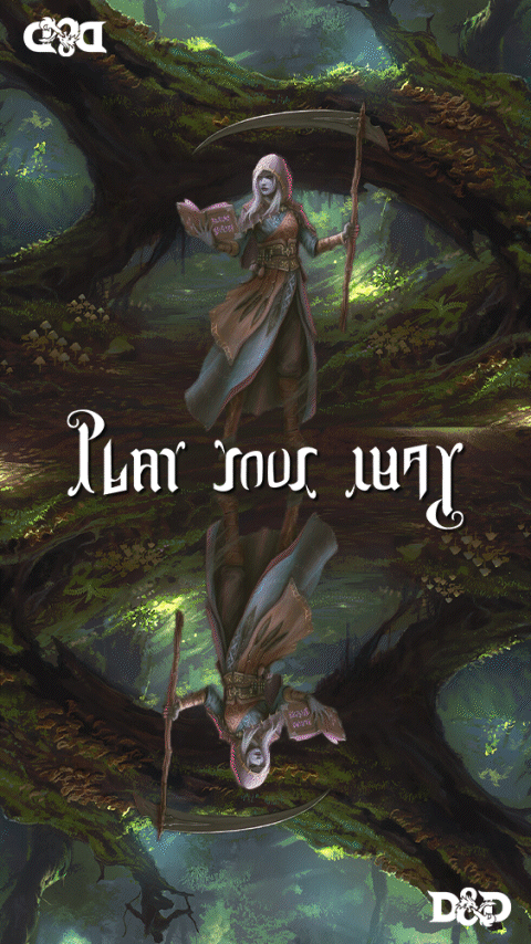 D&D Insta, Turtles.gif