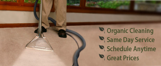 carpet-cleaning-technitian