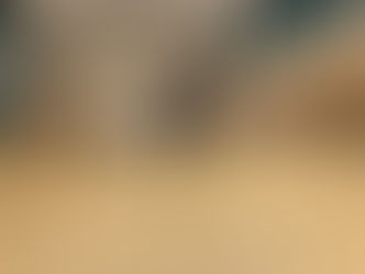 1月もあっという間に終わり・・・