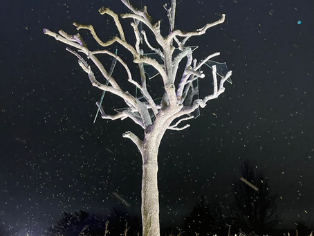 I Ching 49 • Ko (Revolution)