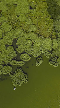 Aerial View of River Banks