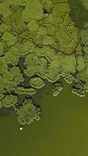 Aerial View of River Banks