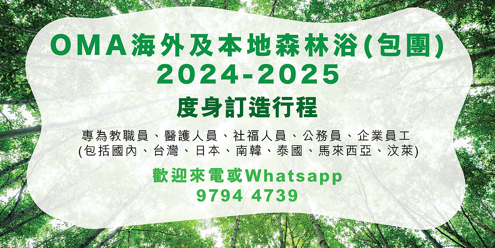 forest trip_banner_v1.png