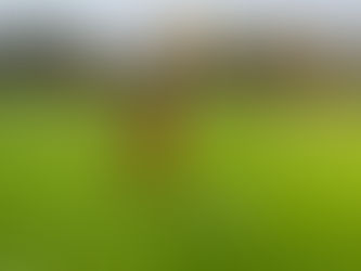 1. Mannschaft geht beim Tabellenführer unter!