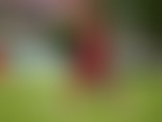 I. Mannschaft ergattert Punkt gegen die Heiligenröder „Knilche“