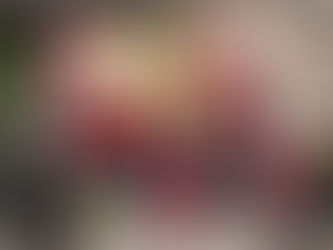 Mauer’s Baikschopp meets SV Espenau