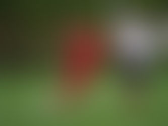 „Letztes Aufgebot“ der I. Mannschaft unterliegt klar am Distelberg!