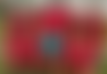 Der Ball rollt wieder.....