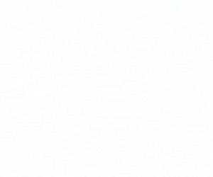 Brilliant Mind Gif Logo.gif