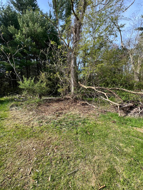 Coastal Junk Removal Solutions had done a demolition (demo) on a shed for a junk removal job