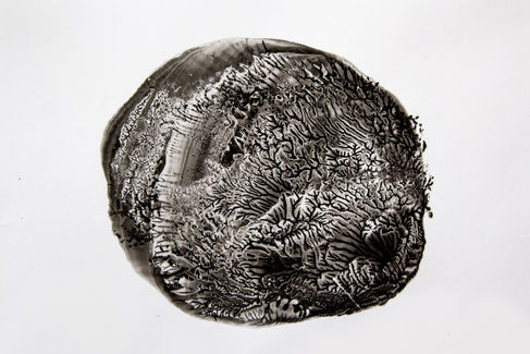 Heart Culture (AS Acr Jun. 13 Grp #1.1)