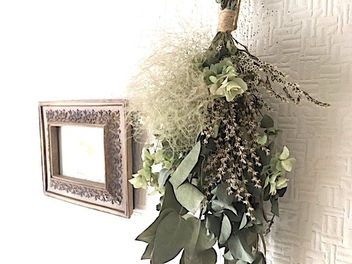 Smoke Tree の不思議