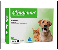 CLINDAMIN.png