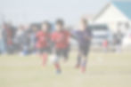532A0807_edited.jpg