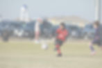 532A0831_edited.jpg