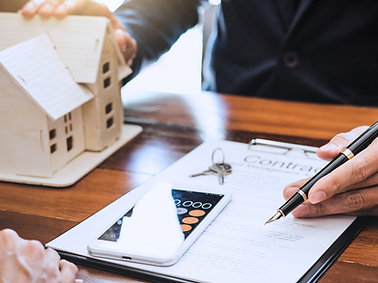 Dogwood Website Images (1).png