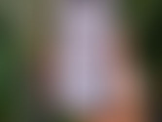 New African LanguageTech app to bridge linguistic divides, cultivates inclusivity and empowers content creation