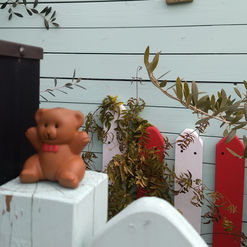 IMG_20220123_105522539.jpg