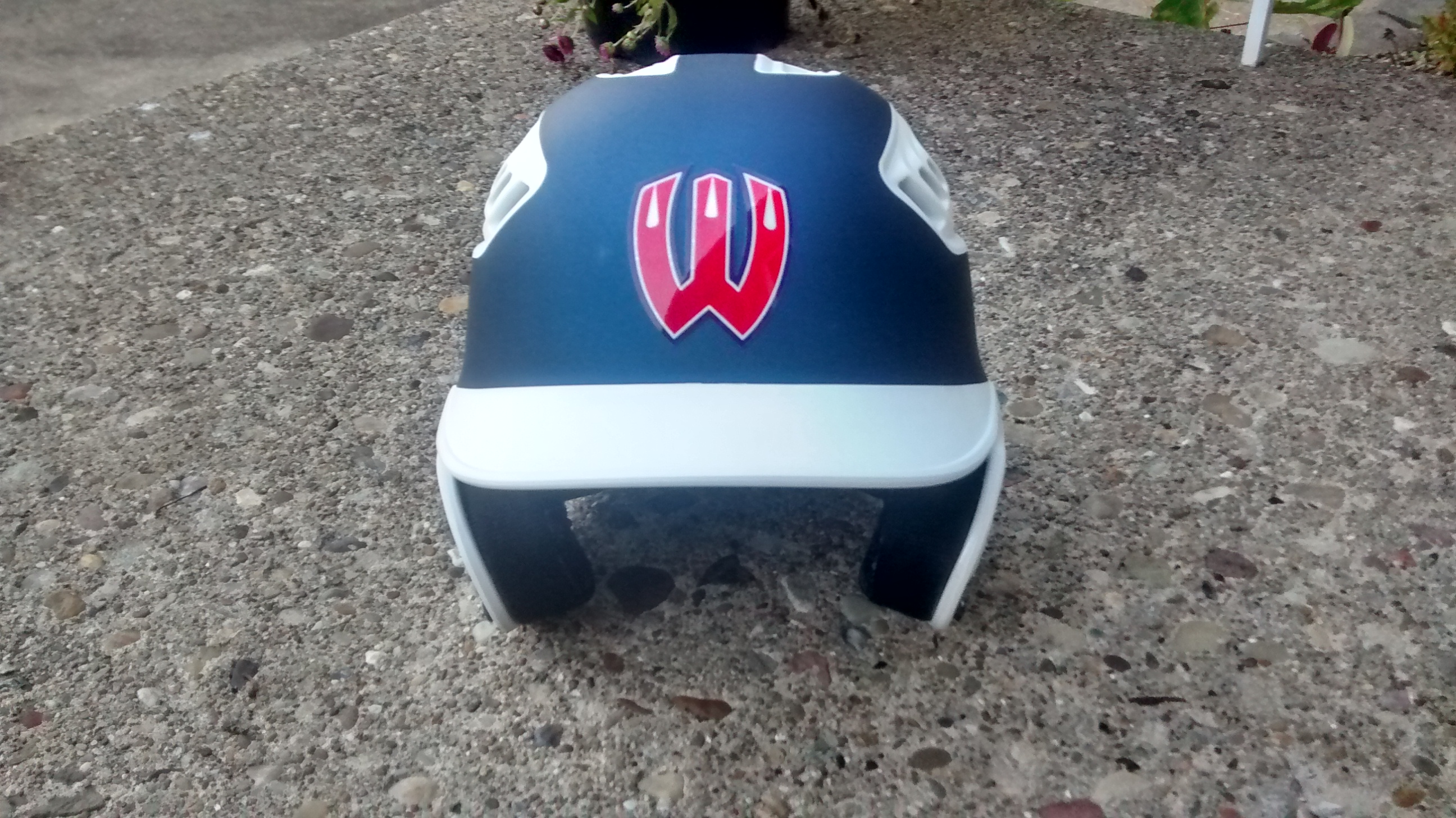 Writer: Wheeling Wildthings