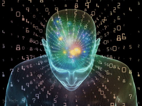 CERVEAU.gif