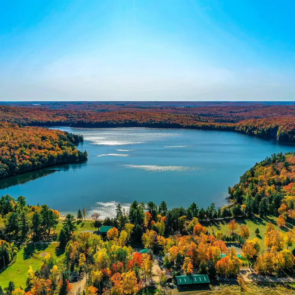 Limberlost Forest