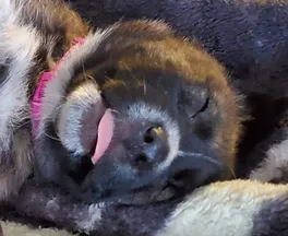 Home Almost Home Yyc