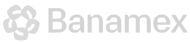Banamex-Logo_edited.png