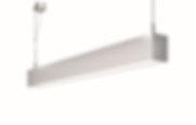 Lino A (2).png