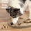 Miniatura: Nina Ottosson - DOG WORKER