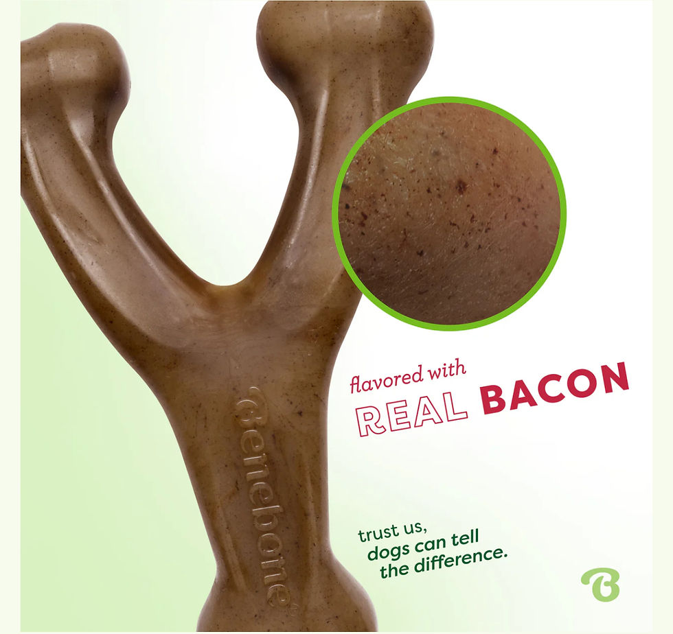 Miniatura: BENEBONE WISHBONE - Y