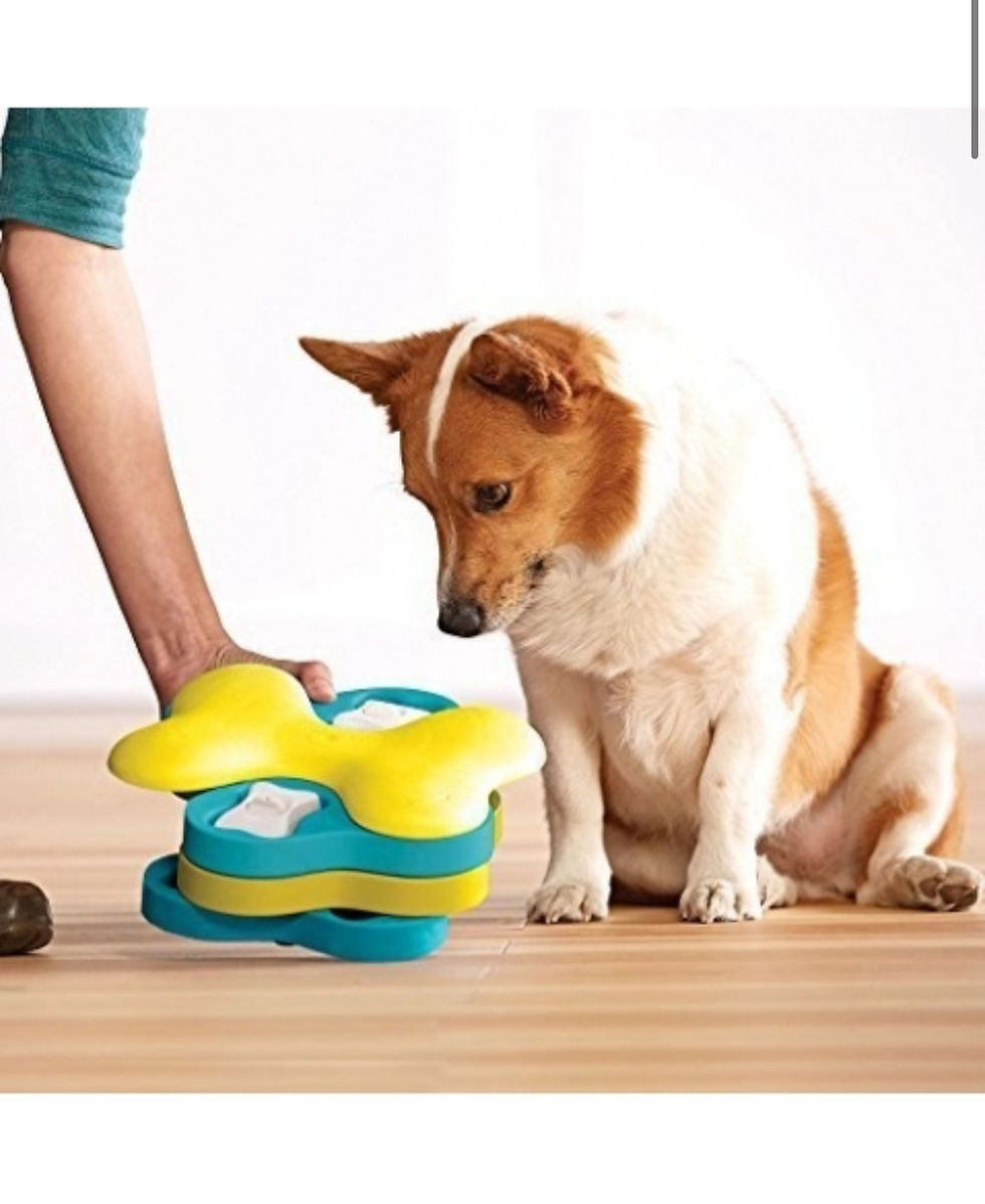 Miniatura: Nina Ottosson - DOG TORNADO (Nível 2).