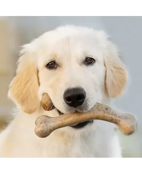 Miniatura: BRINQUEDO DE ROER PARA CÃES BENEBONE WISHBONE PUPPY BACON P