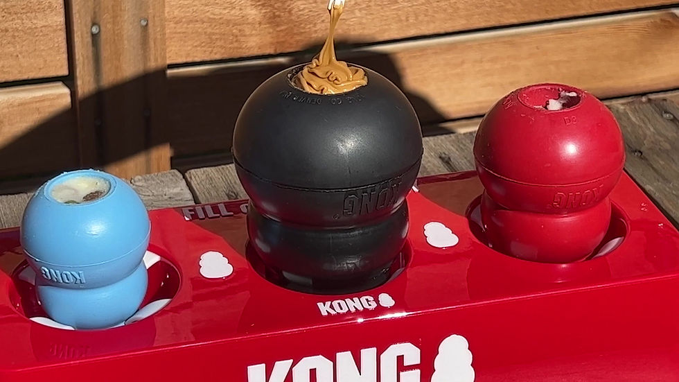 Miniatura: SUPORTE PARA RECHEAR KONGS FILL OR FREEZE TRAY