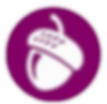 image-removebg-preview__21_-removebg-preview.png