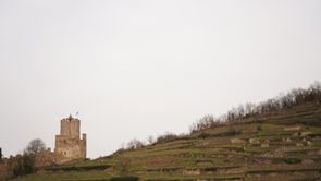 DSC00079.JPG
