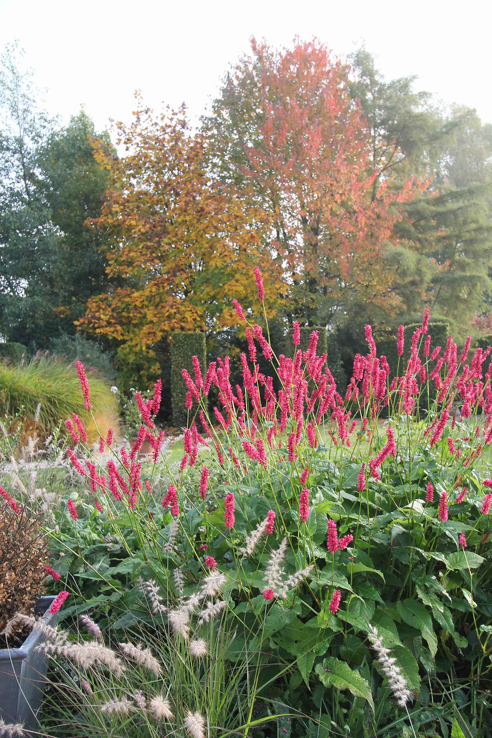Herfstkleuren Oekene