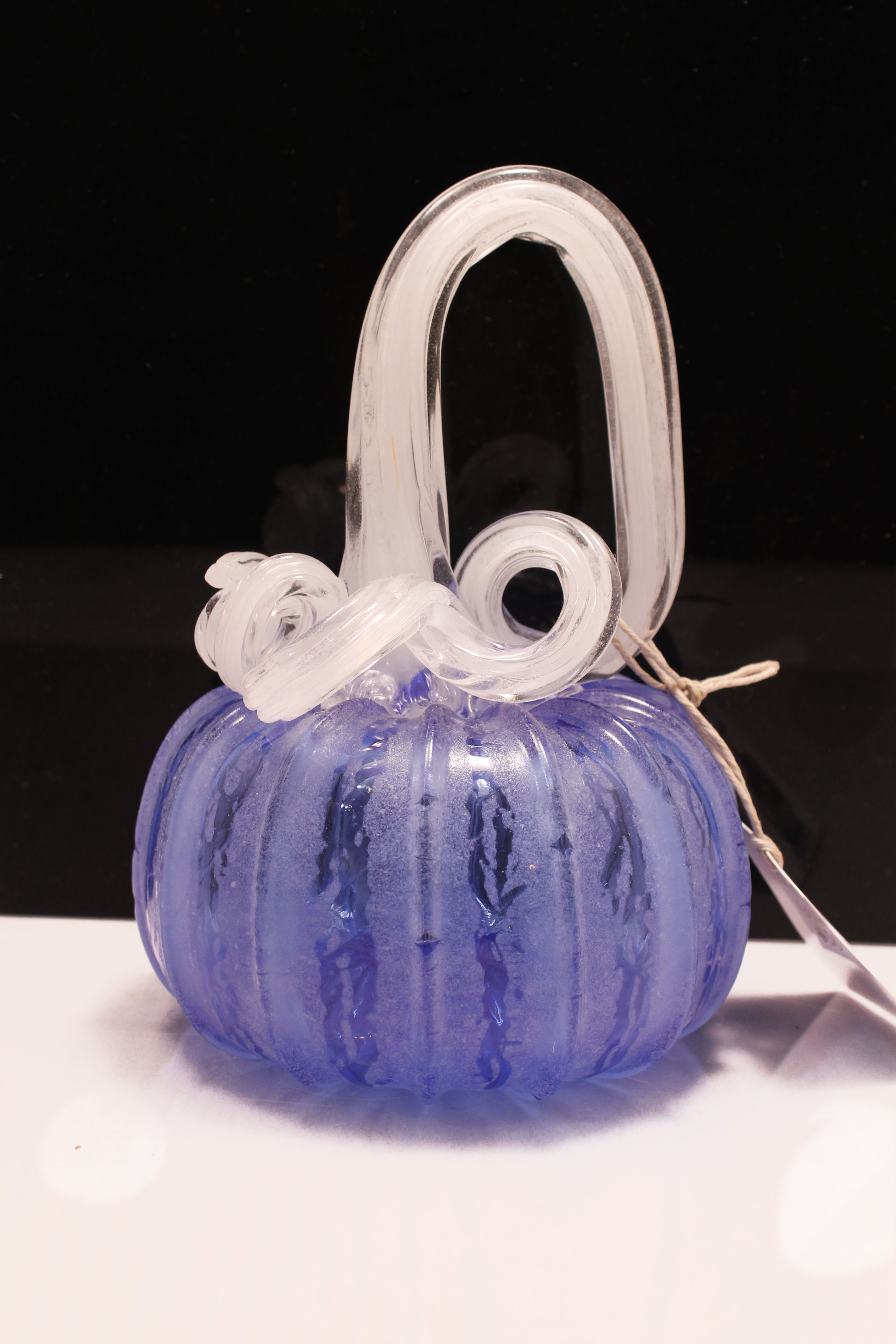 Blue Pumpkin with White Stem