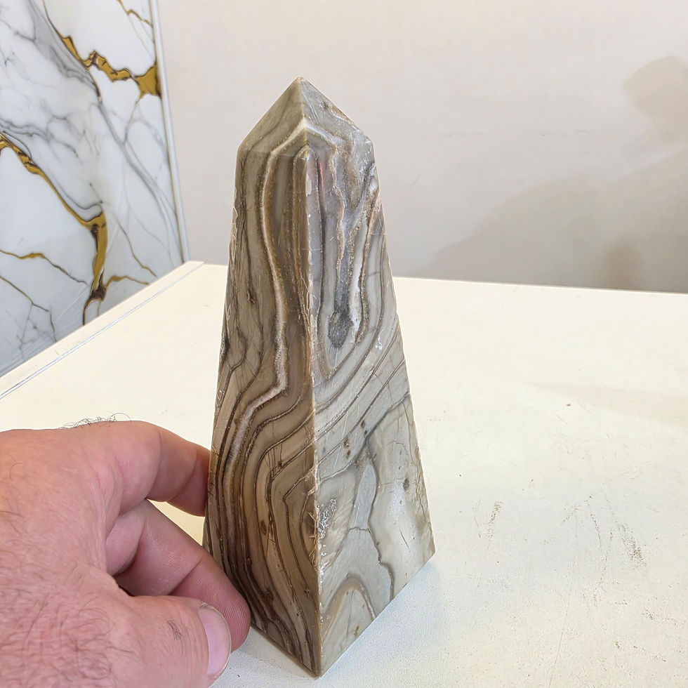 Miniatura: Obelisco em madeira petrificada 