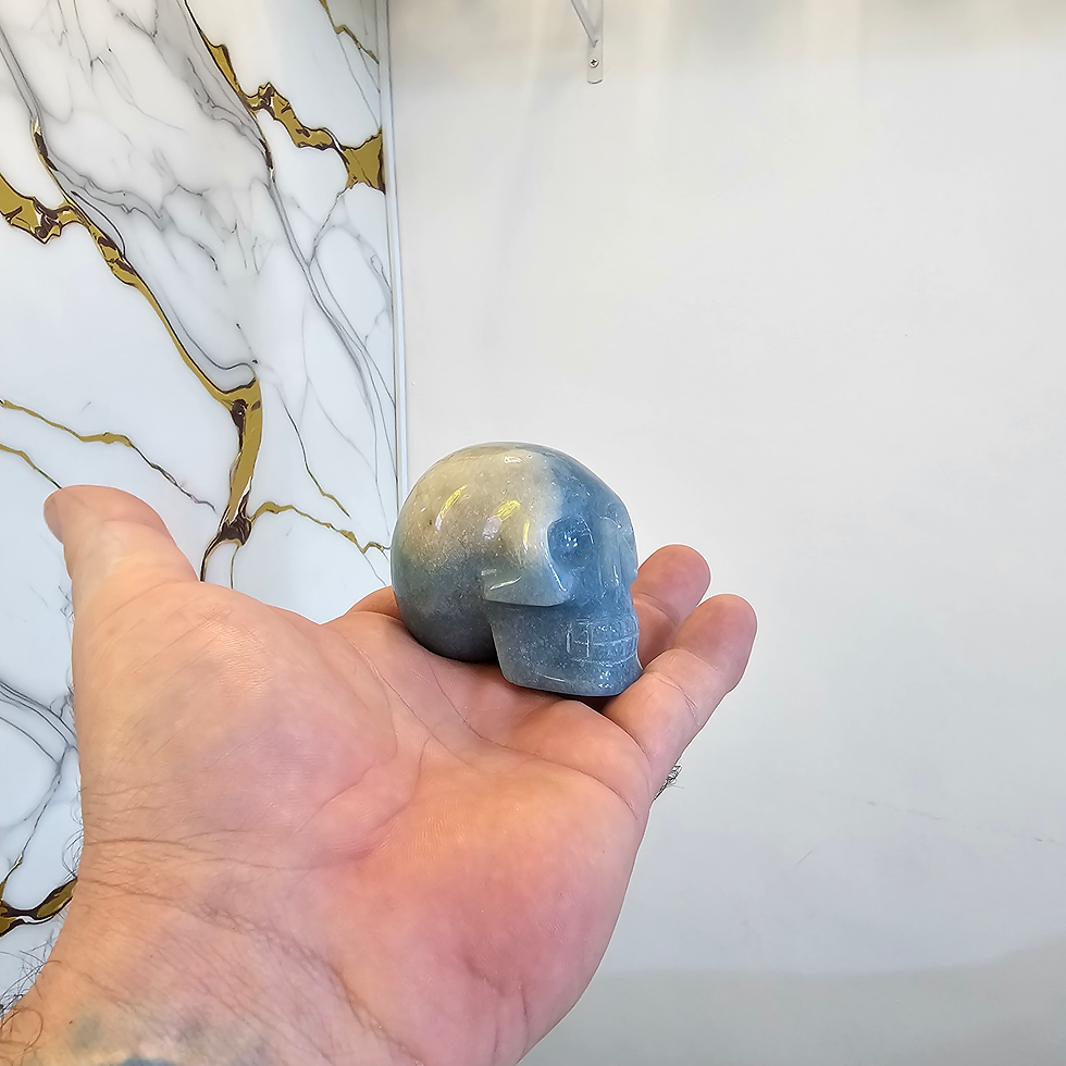 Miniatura: Crânio em trolita 