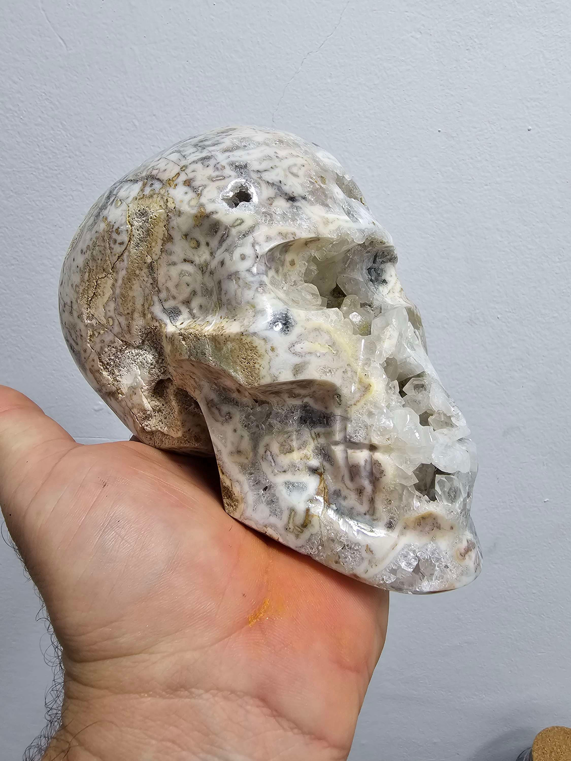 Crânio em geodo de quartzo 
