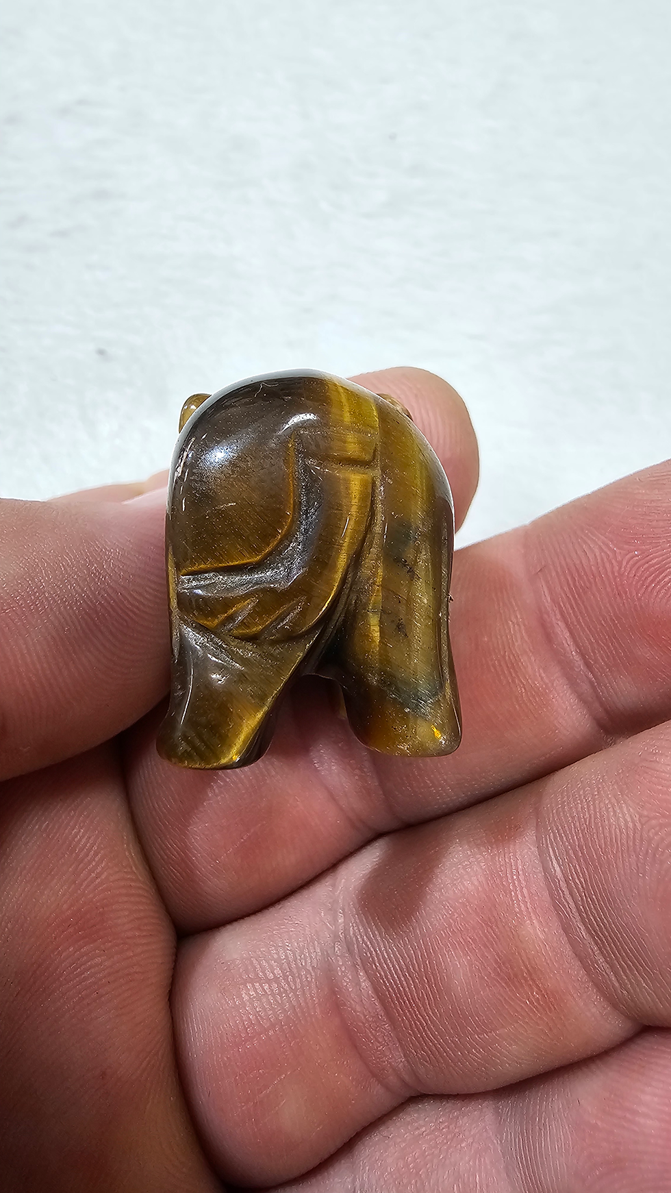 Miniatura: Elefante em olho de tigre 
